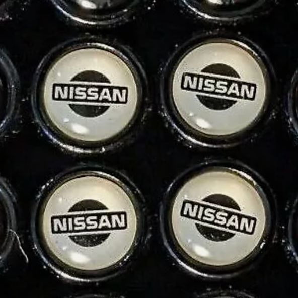 4x fits Nissan Frontier Titan Tire Valve Stem Caps For Car Truck on White