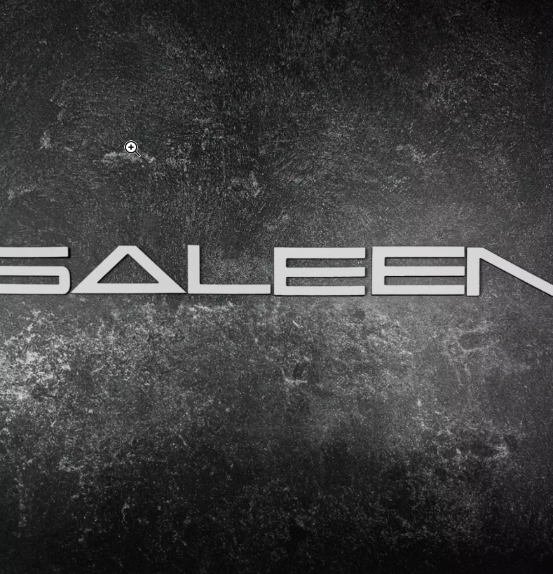 Fits 2005 - 2009 SALEEN BUMPER BRUSHED STEEL RAISED LETTERS INSERTS