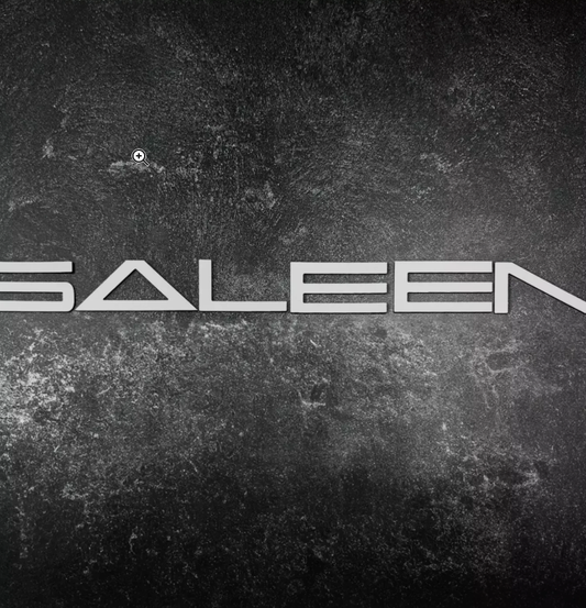 Fits 2005 - 2009 SALEEN BUMPER WHITE RAISED LETTERS INSERTS