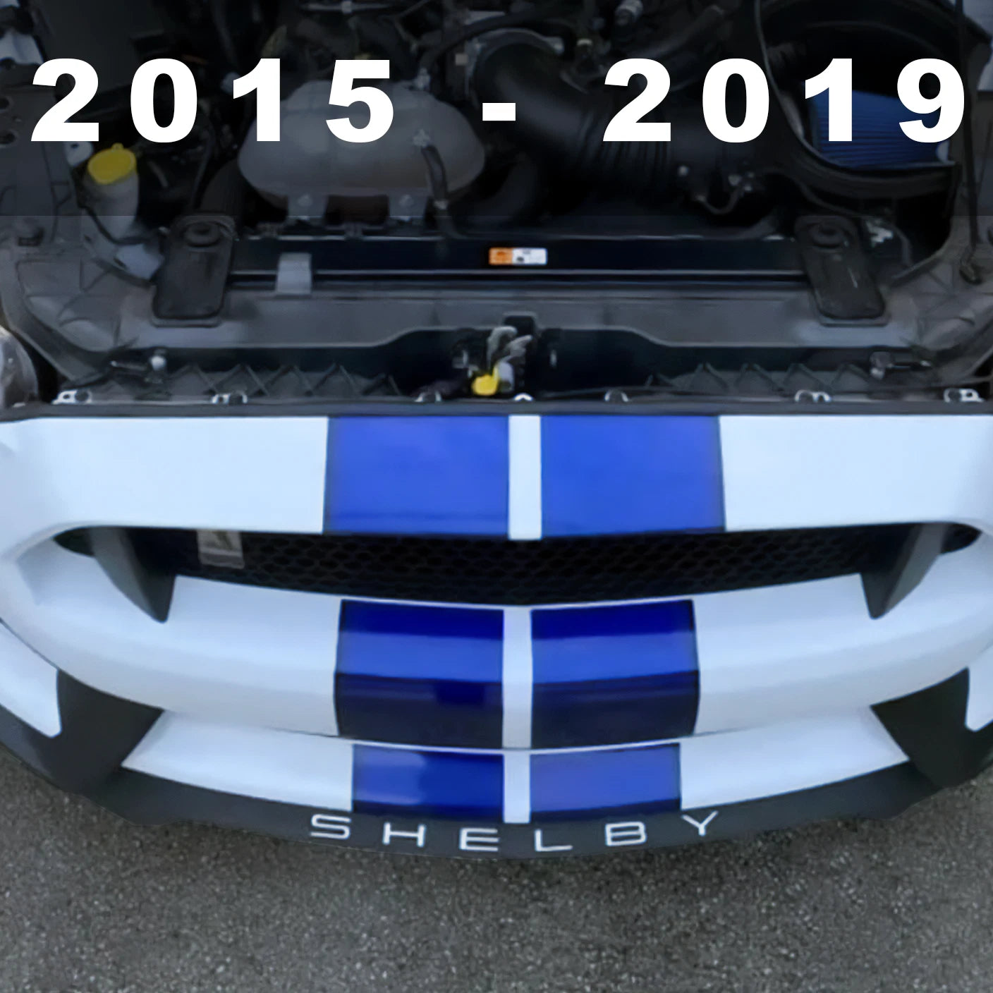 WHITE Front Splitter PLASTIC LETTERS Fits Shelby GT350 2015 - 2019 NOT VINYL